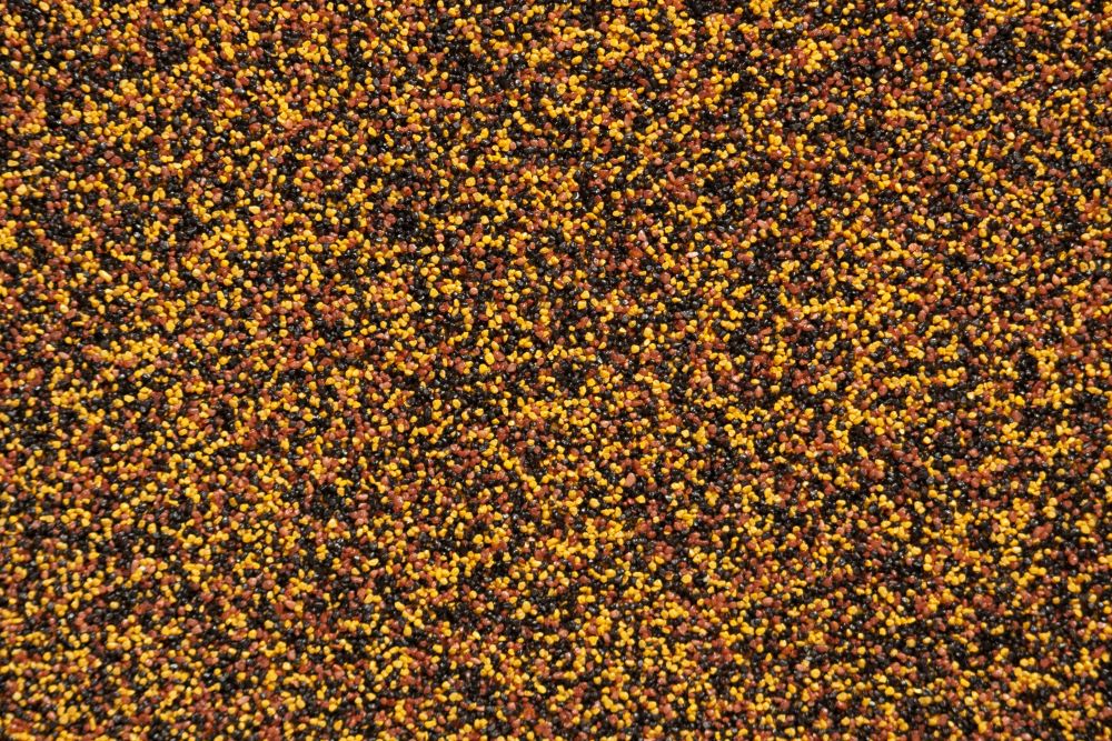 OPMM / LM-47
